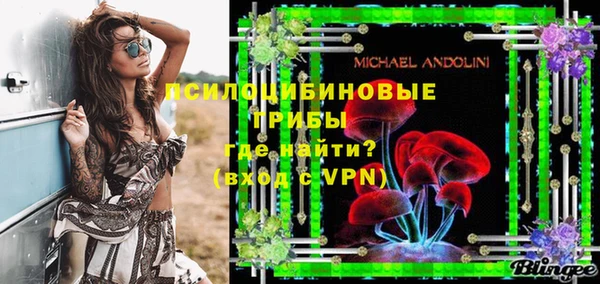 индика Абинск