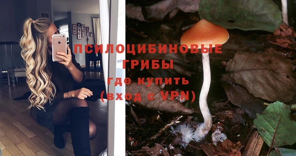mix Алексеевка