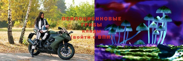 стаф Абдулино