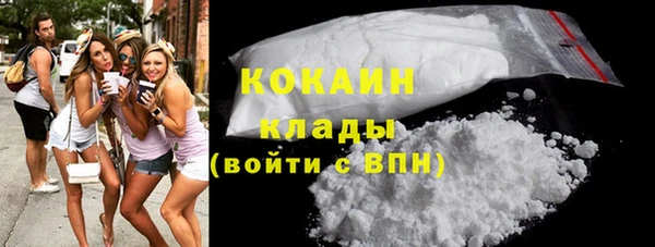 индика Абинск