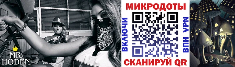 где купить наркоту  Саянск  Галлюциногенные грибы MAGIC MUSHROOMS 