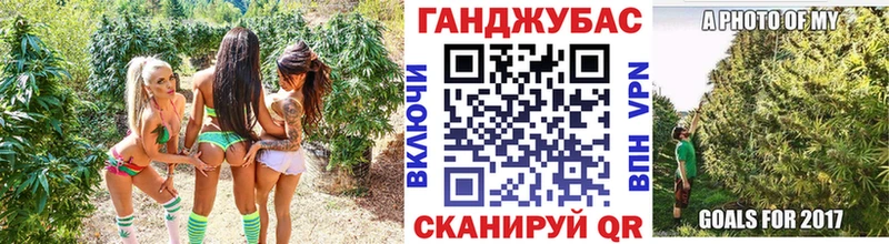 Канабис сатива Саянск